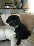 Agent Harvey Kleiner (Ph: +19542343671), MLS ID: 276543477